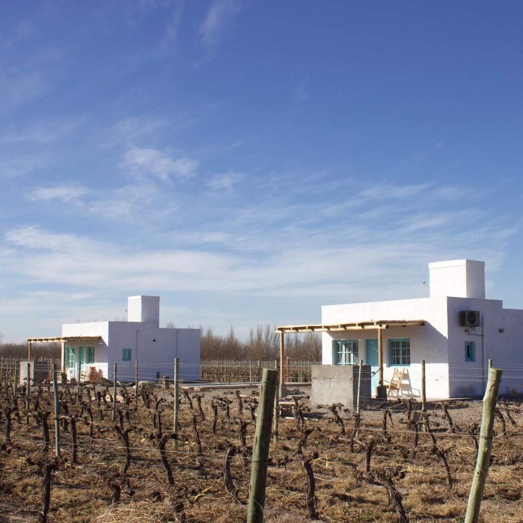 Casa Cielo y Oliva entre viñedos en invierno