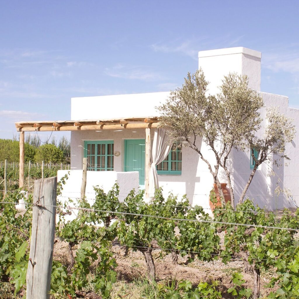 Casa Oliva, casa para 2 personas entre viñedos